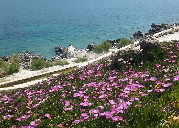 Aparthotel εn Plo Luxury